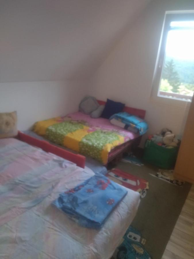 Bor, Savaca - Porodicna Vikendica Za Izdavanje Exteriér fotografie
